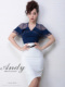 AN-BK306 | Navy