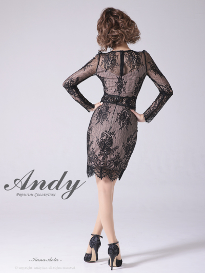 新品未使用未開封タグ付き　Andy 総レースブラックドレスM Andyドレス｜ [Andy]AN-OK2673｜Andyドレス 公式通販