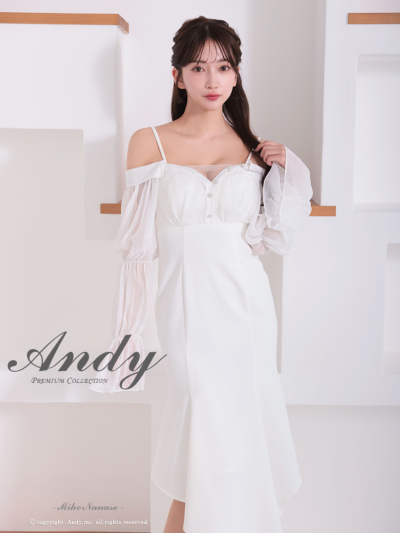 Andy アンディ　プレミアムコレクション ブラック　　　長袖　ロングドレス 楽天市場】PREMIUM Andy ドレス AN-W009 バースデードレス